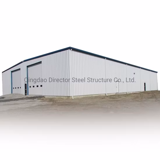 Capannone per attrezzi con struttura in acciaio inossidabile di buona qualità proveniente dalla Cina